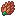 Petaya Berry